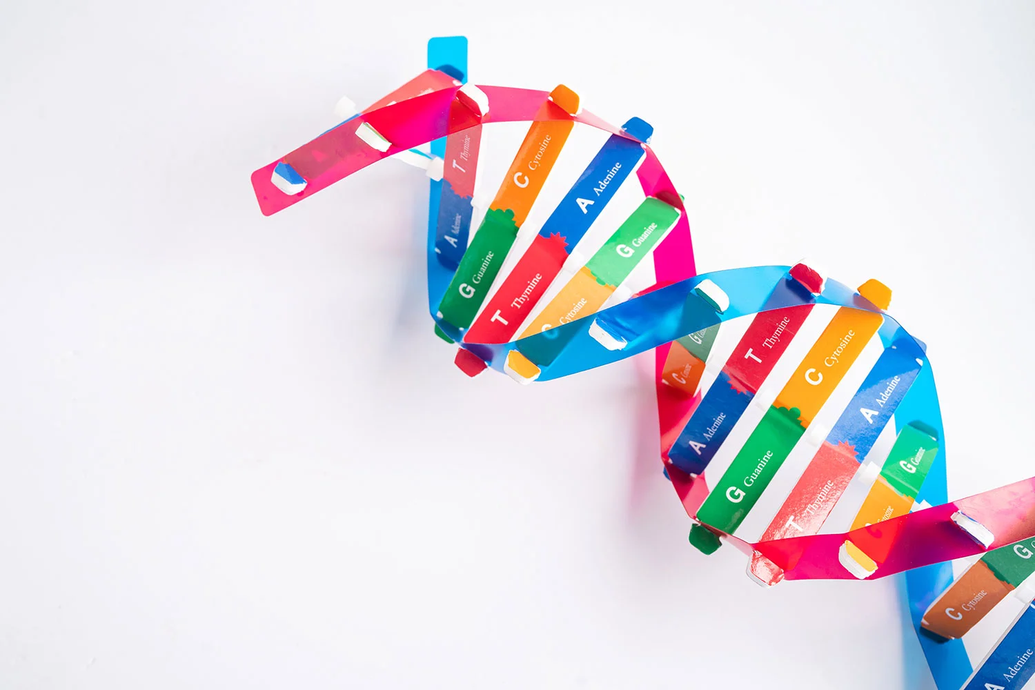 DNA-Group