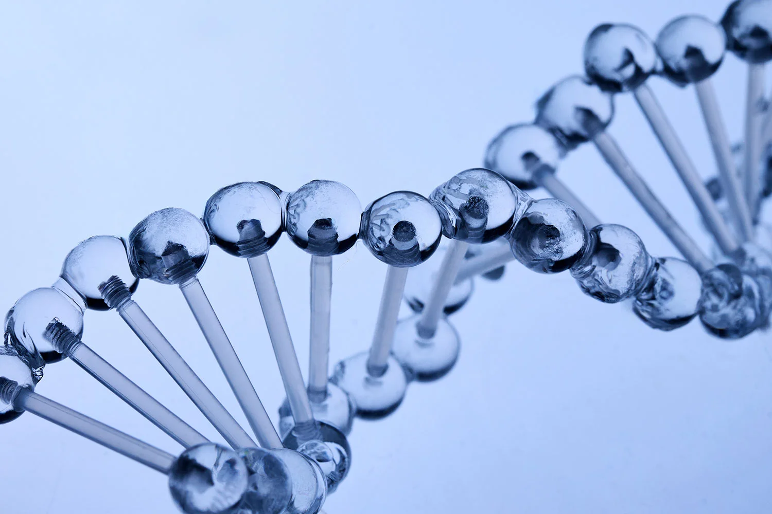 DNA-Video-Lectures